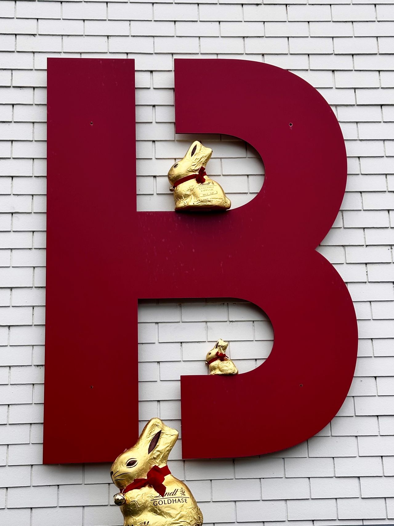 Lindt-Schoggihäsli bei Bodmer zu Besuch